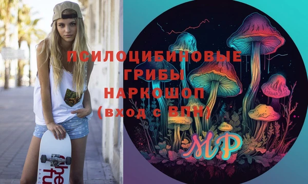 стаф Новокубанск