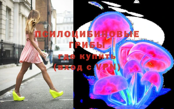 стаф Няндома