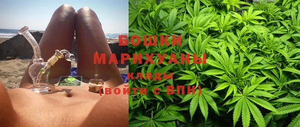 стаф Новокубанск