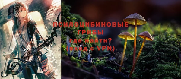 PSILOCYBIN Белоозёрский