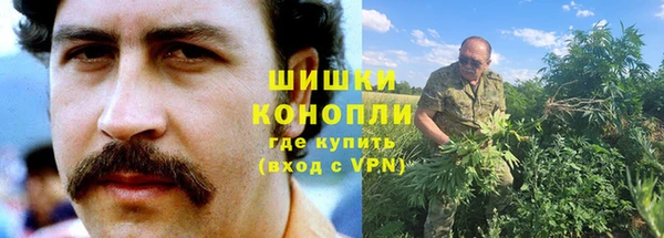 стаф Няндома